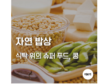 자연 밥상 식탁 위의 슈퍼 푸드, 콩